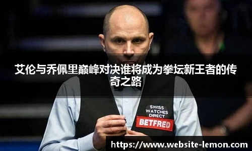 艾伦与乔佩里巅峰对决谁将成为拳坛新王者的传奇之路